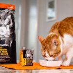 Cat Food